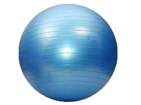 Crane Gym Ball